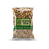 Süpürge Tohumu 100g