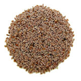 Karnıyarık Tohumu 100g