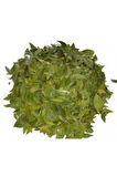 Sidr Yaprağı (Zizyphus Spina), Arabistan Kirazı Yaprağı, 1 Kg, Derya Eren