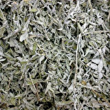 Adaçayı Adaçayı Yaprak sıyırma 500g