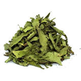 Şeker Otu Stevia Yaprak 1 kg