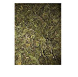 Yapışkan Andız Otu Manisa 100g