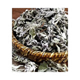 Adaçayı Gri 30 Gr(Paket-Bitki) 1Adet