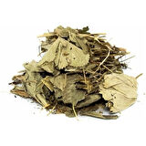 Aslan Pençesi 20 Gr (Paket-Bitki) 1Adet