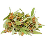 Ihlamur Yaprak 40 Gr (Paket-Bitki) 1Adet