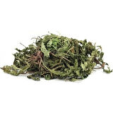 Karahindiba 25 Gr (Paket-Bitki) 1Adet