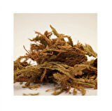 Kurt Pençesi 35 Gr (Paket-Bitki) 1Adet