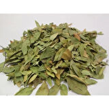 Mersin Yaprağı 35 Gr (Paket-Bitki) 1Adet