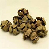 Selvi Kozalağı 60 Gr (Paket-Bitki) 1Adet