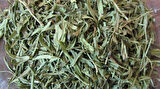 Tarhun 50 Gr (Paket-Bitki) 1Adet