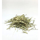 Yulaf Samanı 20 Gr (Paket-Bitki) 1Adet