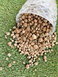 Kil Bilyesi 1 Litre Ithal Kil Bilyesi 8-16 mm Lecat Hidrokültür Toprağı