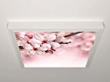 Gök Panel 60X60 LED Panel Aydınlatma Armatür Avize Sıva Üstü Desenli Tekli 46510009SU