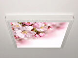 Gök Panel 60X60 LED Panel Aydınlatma Armatür Avize Sıva Üstü Desenli Tekli 46510018SU