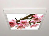 Gök Panel 60X60 LED Panel Aydınlatma Armatür Avize Sıva Üstü Desenli Tekli 46510025SU
