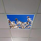 Gök Panel 60X60 LED Panel Sıva Altı Desenli Tekli 46510206SA