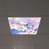 Gök Panel 60X60 LED Panel Sıva Altı Desenli Tekli 46510209SA