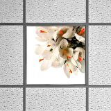 Gök Panel 60X60 LED Panel Sıva Altı Desenli Tekli 46510210SA