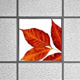 Gök Panel 60X60 LED Panel Sıva Altı Desenli Tekli 46510221SA