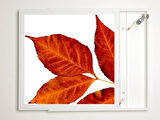 Gök Panel 60X60 LED Panel Aydınlatma Armatür Avize Sıva Üstü Desenli Tekli 46510221SU