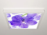 Gök Panel 60X60 LED Panel Aydınlatma Armatür Avize Sıva Üstü Desenli Tekli 46510247SU