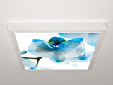 Gök Panel 60X60 LED Panel Aydınlatma Armatür Avize Sıva Üstü Desenli Tekli 46510255SU