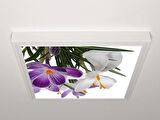 Gök Panel 60X60 LED Panel Aydınlatma Armatür Avize Sıva Üstü Desenli Tekli 46510258SU