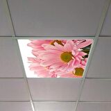 Gök Panel 60X60 LED Panel Sıva Altı Desenli Tekli 46510270SA