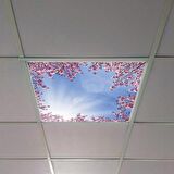 Gök Panel 60X60 LED Panel Sıva Altı Desenli Tekli 46510277SA