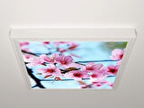 Gök Panel 60X60 LED Panel Aydınlatma Armatür Avize Sıva Üstü Desenli Tekli 46510282SU