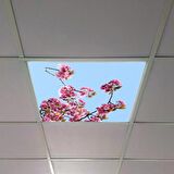Gök Panel 60X60 LED Panel Sıva Altı Desenli Tekli 46510298SA