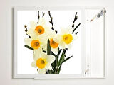 Gök Panel 60X60 LED Panel Aydınlatma Armatür Avize Sıva Üstü Desenli Tekli 46510322SU