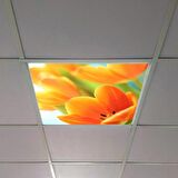 Gök Panel 60X60 LED Panel Sıva Altı Desenli Tekli 46510324SA