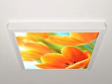 Gök Panel 60X60 LED Panel Aydınlatma Armatür Avize Sıva Üstü Desenli Tekli 46510324SU