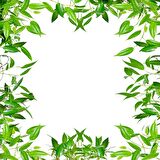 Gök Panel 60X60 LED Panel Sıva Altı Desenli Tekli 46510329SA