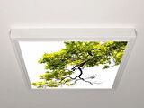Gök Panel 60X60 LED Panel Aydınlatma Armatür Avize Sıva Üstü Desenli Tekli 46510401SU