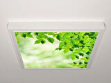 Gök Panel 60X60 LED Panel Aydınlatma Armatür Avize Sıva Üstü Desenli Tekli 46510406SU
