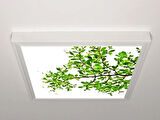 Gök Panel 60X60 LED Panel Aydınlatma Armatür Avize Sıva Üstü Desenli Tekli 46510496SU