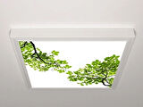 Gök Panel 60X60 LED Panel Aydınlatma Armatür Avize Sıva Üstü Desenli Tekli 46510525SU