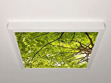 Gök Panel 60X60 LED Panel Aydınlatma Armatür Avize Sıva Üstü Desenli Tekli 46510539SU