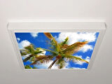 Gök Panel 60X60 LED Panel Aydınlatma Armatür Avize Sıva Üstü Desenli Tekli 46510559SU