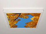 Gök Panel 60X60 LED Panel Aydınlatma Armatür Avize Sıva Üstü Desenli Tekli 46510565SU