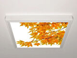 Gök Panel 60X60 LED Panel Aydınlatma Armatür Avize Sıva Üstü Desenli Tekli 46510568SU