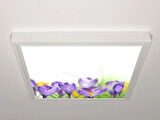 Gök Panel 60X60 LED Panel Aydınlatma Armatür Avize Sıva Üstü Desenli Tekli 46510606SU