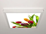 Gök Panel 60X60 LED Panel Aydınlatma Armatür Avize Sıva Üstü Desenli Tekli 46510644SU