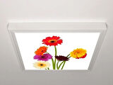 Gök Panel 60X60 LED Panel Aydınlatma Armatür Avize Sıva Üstü Desenli Tekli 46510682SU