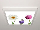 Gök Panel 60X60 LED Panel Aydınlatma Armatür Avize Sıva Üstü Desenli Tekli 46510689SU