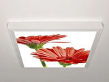 Gök Panel 60X60 LED Panel Aydınlatma Armatür Avize Sıva Üstü Desenli Tekli 46510692SU