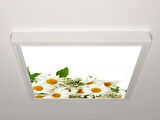 Gök Panel 60X60 LED Panel Aydınlatma Armatür Avize Sıva Üstü Desenli Tekli 46510695SU