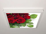 Gök Panel 60X60 LED Panel Aydınlatma Armatür Avize Sıva Üstü Desenli Tekli 46510702SU